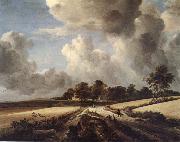 RUISDAEL, Jacob Isaackszon van, Wheatfields